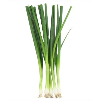 Picture of Onion (Spring) Marksman